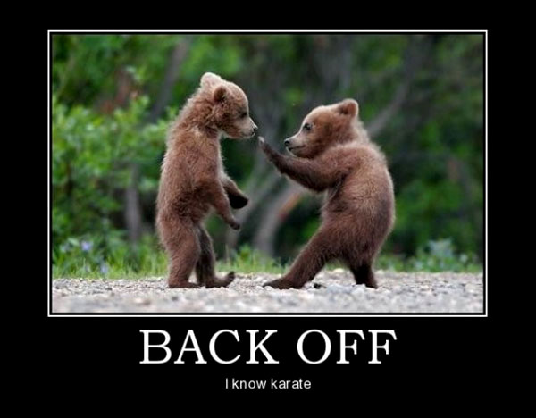 bears.jpg